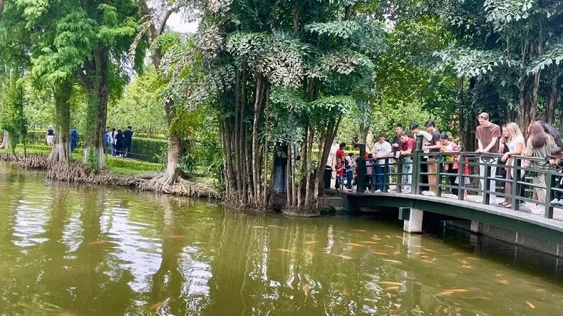 Tourists visiting Uncle Ho’s fishpond within the President Ho Chi Minh Relic Site at the Presidential Palace.