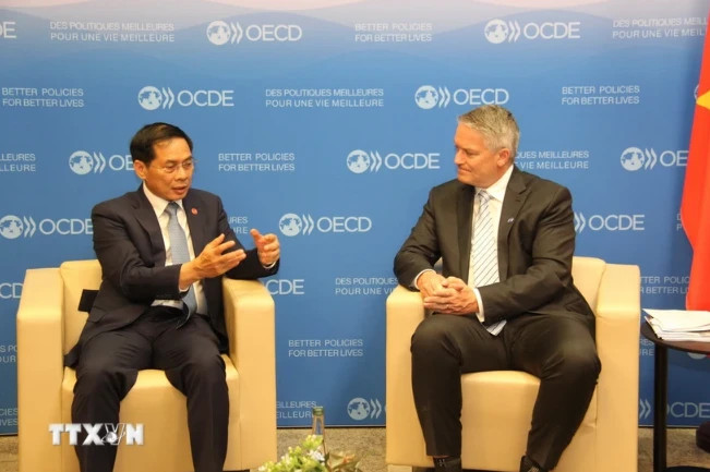 Minister of Foreign Affairs Bui Thanh Son (left) and OECD Secretary-General Mathias Cormann. (Photo: VNA) 