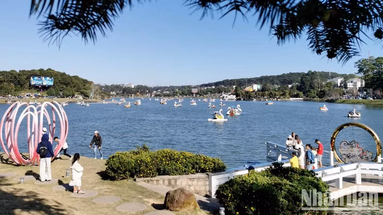 The number of visitors to Da Lat City increased by 22.4% compared to the same period in 2023.