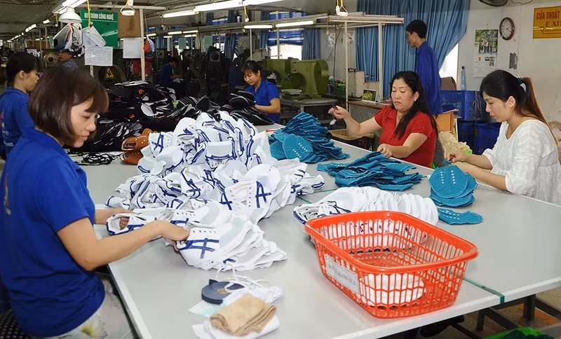 The footwear industry primarily outsources and relies heavily on foreign supply chains for raw materials. (Photo: NGUYET ANH)