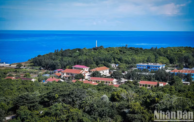 Although once ravaged by war, the primary forest on Con Co Island remains largely intact, part of a rare tropical rainforest ecosystem, with three layers of vegetation, vines, and a rich plant carpet.