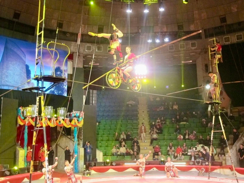 An act from the Vietnam Circus Federation. (Illustrative photo)
