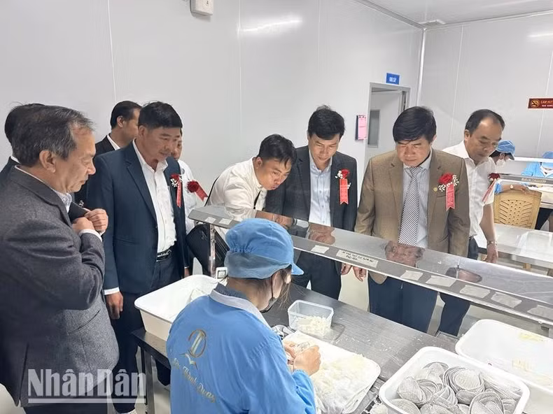 The delegates visit the bird's nest processing facility of Thanh Dung Bird's Nest Import-Export Joint Stock Company.