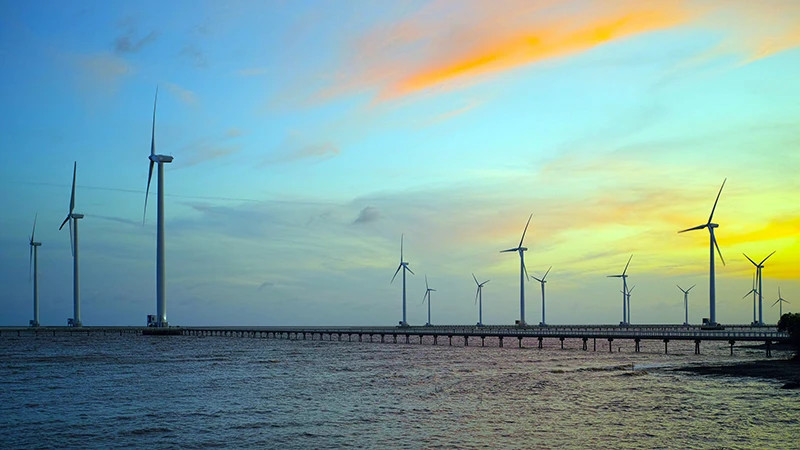 Bac Lieu Wind Power Plant Project. (Photo: LE NGUYEN)