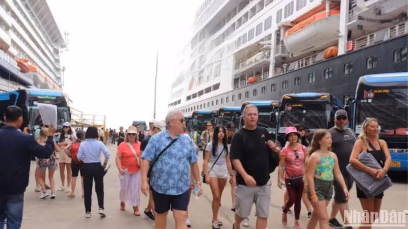 The port features 6 docks, including 4 for cruise ships and tourist boats and 1 dock with 2 berths, and is a popular choice for both domestic and international tourists.