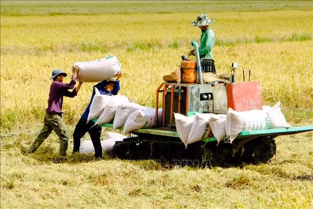 Illustrative photo (Photo: VNA)