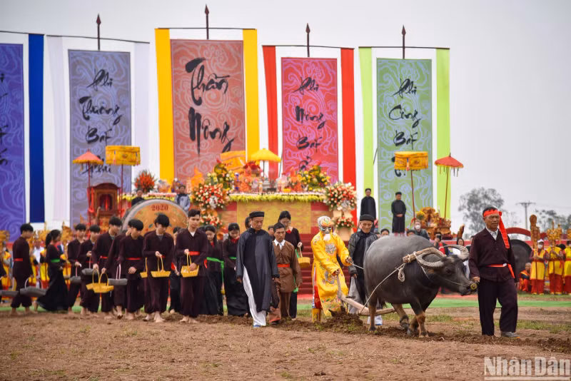 Then the person, who plays the role of King Le Dai Hanh, dresses in imperial robe (with dragon design) and mask will go to the fields to plough.