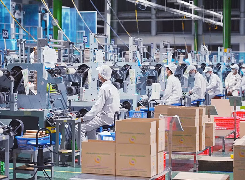 The production line for fully biodegradable products at An Phat Holdings' factory. (Photo: Dan Thanh)