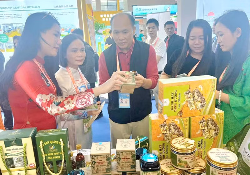 Quang Nam is showcasing the province’s cultural heritage, tourism, and local OCOP (One Commune One Product) items in Guangxi, China.
