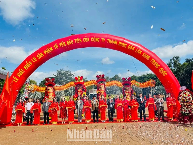 The ribbon cutting ceremony for the first bird’s nest batch of Krong Pac District to China under the official quota.
