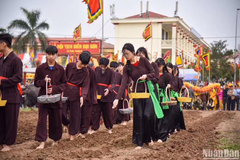 Young men and women sow the first seeds following the ploughing plots of King Le Dai Hanh.