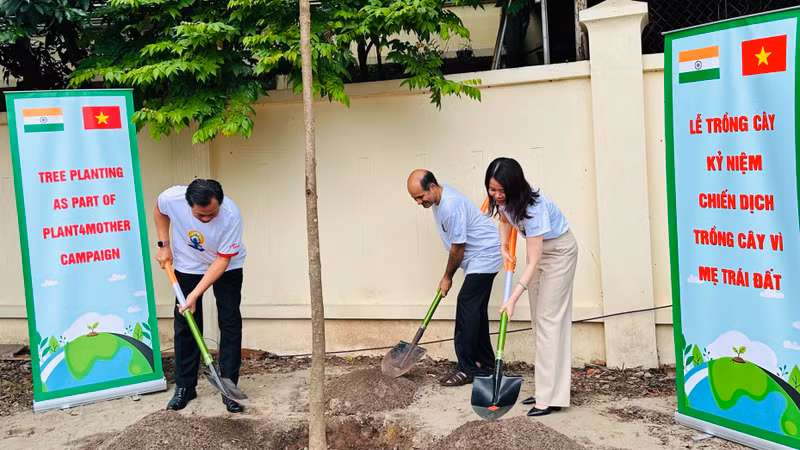 The delegates plant a tree in the campus of Quan Ngua Sports Palace. (Photo: KIM LINH)