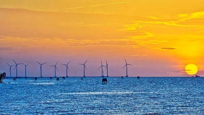 A wind farm in Bac Lieu. (Photo: Le Nguyen)