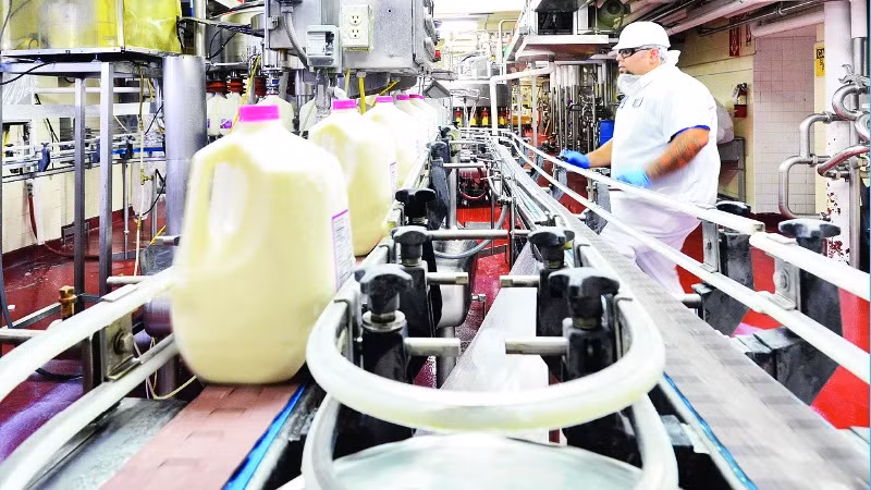 Vinamilk's Driftwood Dairy Factory in the US. (Photo:Minh Thi)