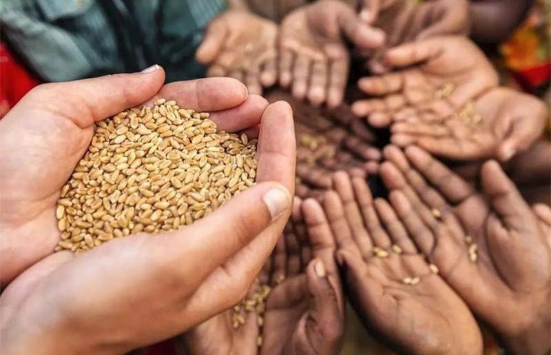 The risk of food insecurity is a concern of every country. (Image for illustration/Source: Getty Images)