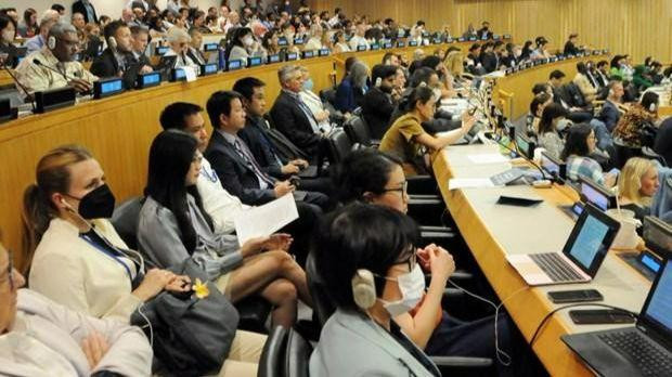 An overview of the conference (Source: baoquocte.vn)
