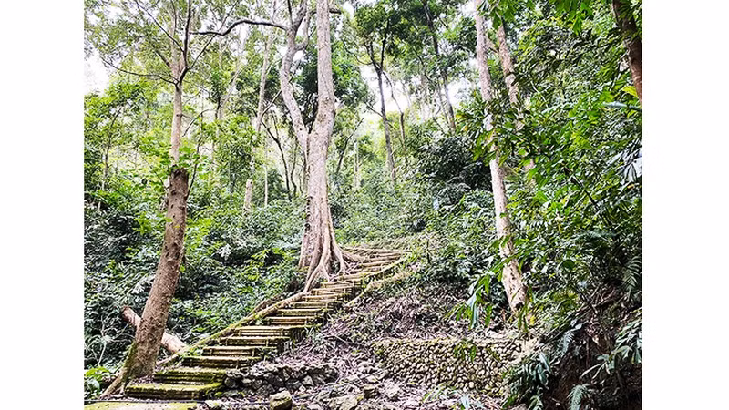 Lam Cao is the highest peak of the Khau Giang mountain range. (Photo: NDO)