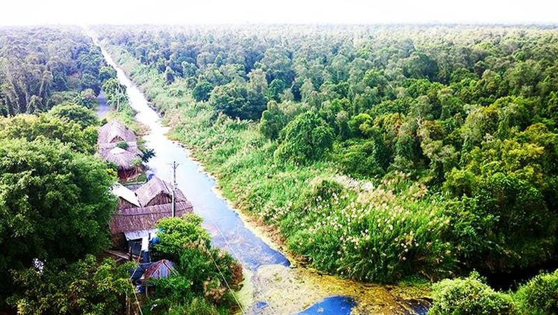 U Minh Ha National Park 