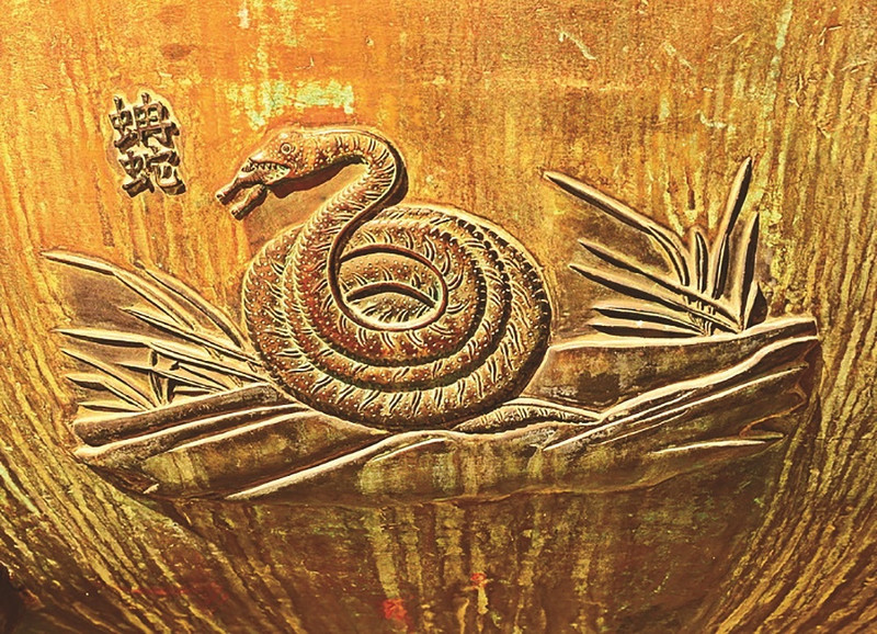 The image of a snake engraved on Anh Dinh. 