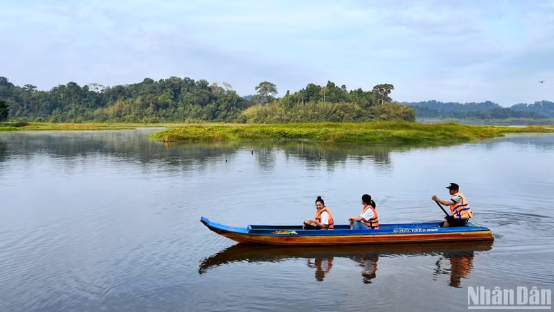 A typical boat tour lasts about 60–90 minutes. At the end of the journey, everyone offers bright smiles and heartfelt thanks to the friendly and enthusiastic forest rangers. A typical boat tour lasts about 60–90 minutes. At the end of the journey, everyone offers bright smiles and heartfelt thanks to the friendly and enthusiastic forest rangers.