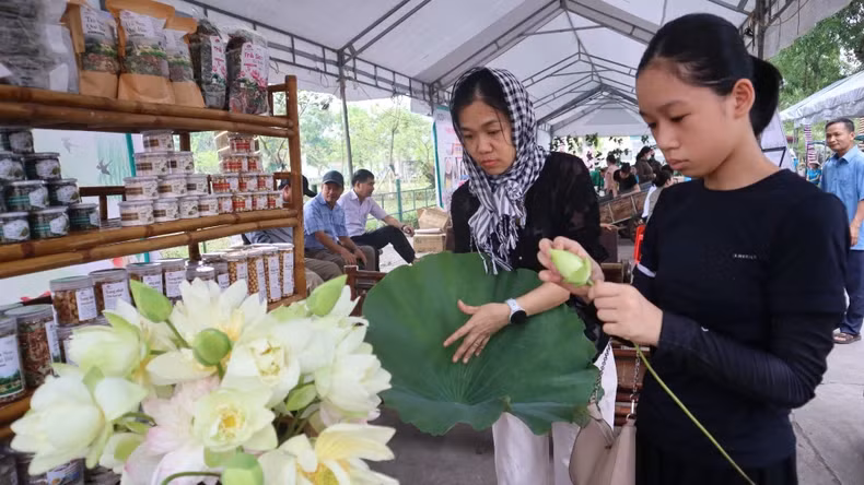 Lotus arrangements have become highlights at the rural market fair in Kim Lien Commune, welcoming the 2025 Sen Village Festival. Lotus arrangements have become highlights at the rural market fair in Kim Lien Commune, welcoming the 2025 Sen Village Festival.