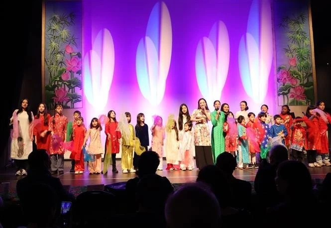 An art performance at the celebration. (Photo: VNA) 