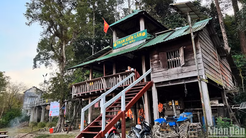 It is rare to find a place like this, where visitors can eat, rest, and live alongside forest rangers. With no mobile phone signal or internet, and the nearest residential area 20 km away, coming here means temporarily "disconnecting" from the hustle and bustle of modern life and immersing oneself in the wilderness. It is rare to find a place like this, where visitors can eat, rest, and live alongside forest rangers. With no mobile phone signal or internet, and the nearest residential area 20 km away, coming here means temporarily "disconnecting" from the hustle and bustle of modern life and immersing oneself in the wilderness.