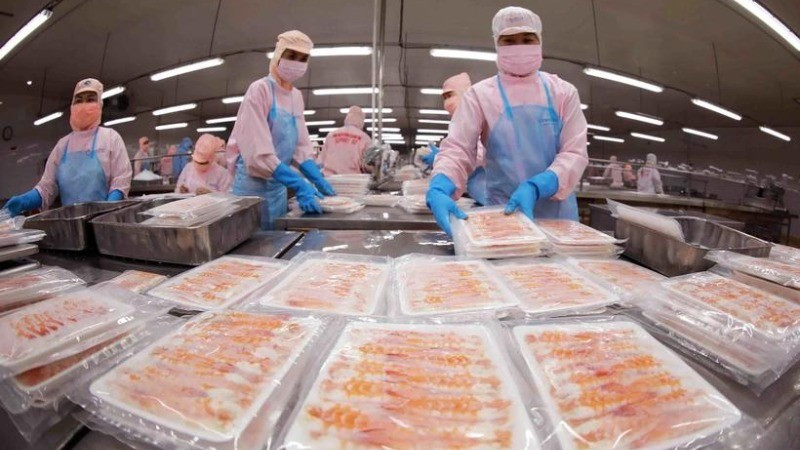 Shrimp processing for export. (Illustrative photo: VNA)
