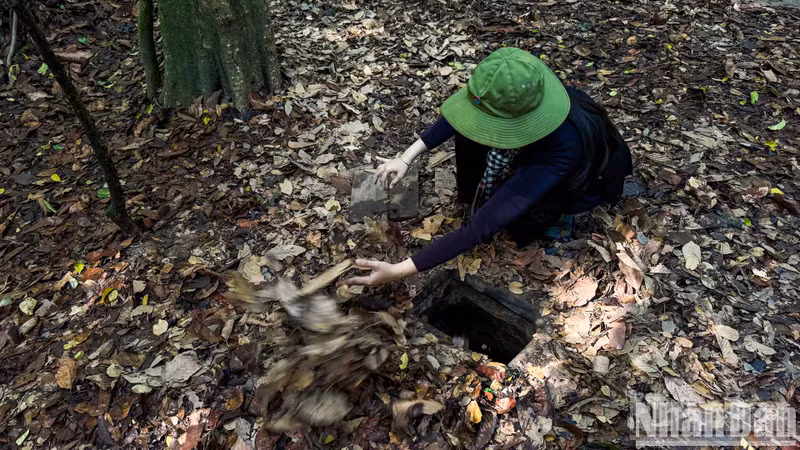 Within Cu Chi, the secret underground shelters feature various designs, but are mainly hidden below the earth’s surface, with a single entrance just wide enough for a person’s shoulders and small ventilation holes for breathing. When sealed, these entrances were nearly undetectable to enemies walking above. (Photo: a currently preserved tunnel entrance at the Cu Chi Tunnels relic site).