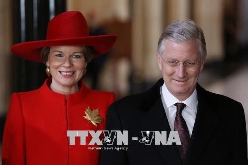 Belgian King Philippe and Queen Mathilde. (File photo: AFP/VNA) 