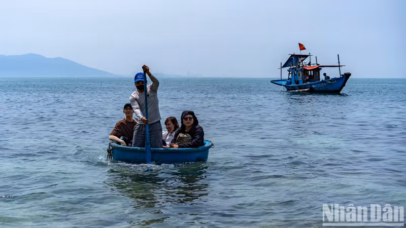 To visit the island, travellers from Da Nang depart from Tho Quang Port, take a small boat to a location about 200 metres from the island, and then transfer to a coracle (round bamboo boat) to reach the shore.