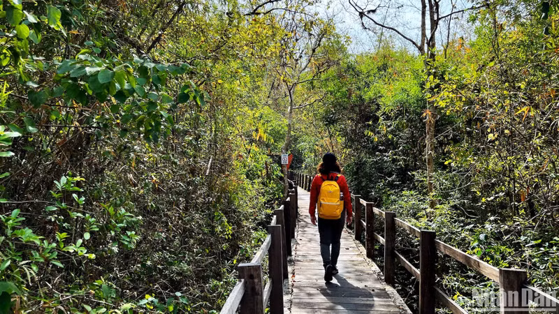 Visitors can visit Bau Sau at any time of the day, with a 14-kilometre journey from the entrance of Cat Tien National Park, including 9 kilometres by bicycle or car and 5 kilometres on foot through the forest. Visitors can visit Bau Sau at any time of the day, with a 14-kilometre journey from the entrance of Cat Tien National Park, including 9 kilometres by bicycle or car and 5 kilometres on foot through the forest.