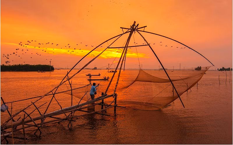 Climate change has a severe impact on the livelihoods of people in the Mekong Delta. (Photo: Shrimp catching – Photographer Truong Hoang Them)