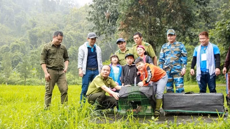 In Cuc Phuong National Park, forest rangers and local residents work together to release wildlife back into their natural habitat.