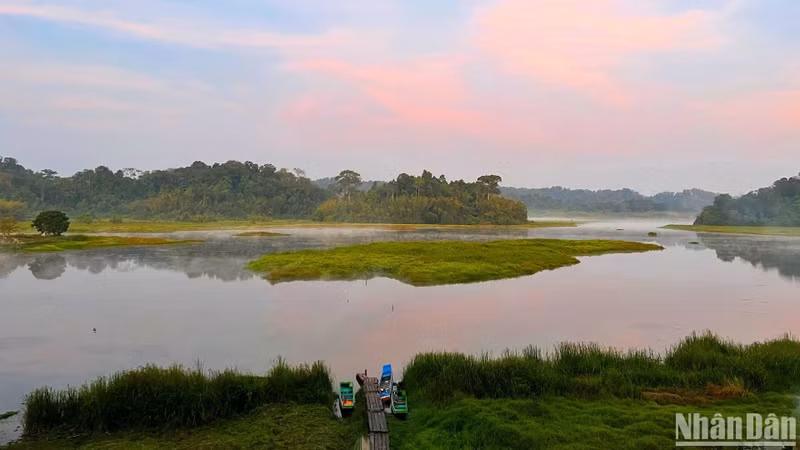 At around 5 AM, the sunrise paints the sky and water in shades of pink. The observation hut offers a breathtaking view of the wetlands, where the night before, rangers guided visitors through spotlighting tours — revealing the glowing eyes of hundreds of crocodiles in the dark and sharing fascinating stories about the forest's ecosystem. At around 5 AM, the sunrise paints the sky and water in shades of pink. The observation hut offers a breathtaking view of the wetlands, where the night before, rangers guided visitors through spotlighting tours — revealing the glowing eyes of hundreds of crocodiles in the dark and sharing fascinating stories about the forest's ecosystem.