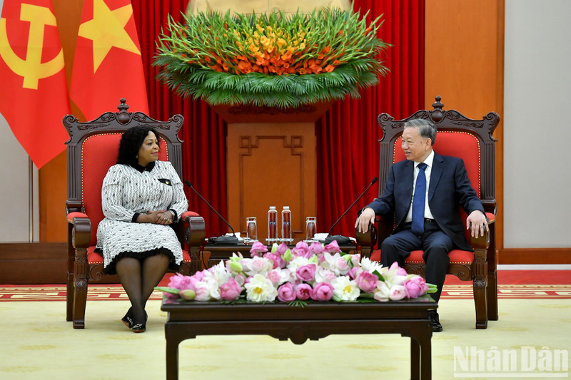 Party General Secretary To Lam (R) and First Deputy Secretary General of South Africa's African National Congress (ANC) Nomvula Mokonyane at their meeting on May 20 in Ha Noi. (Photo: NDO)