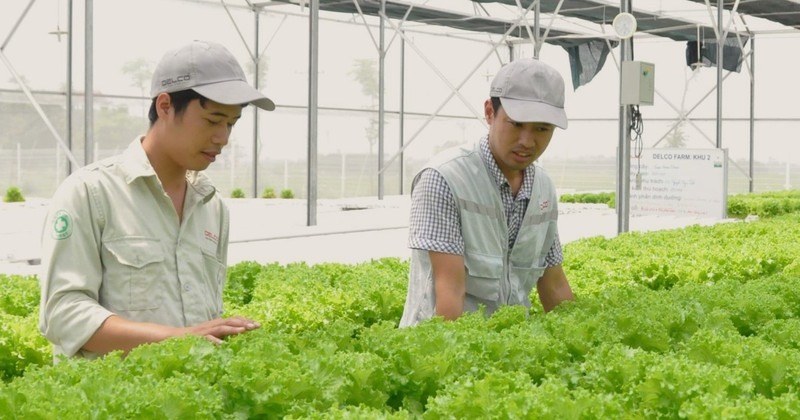 Green and clean production with low emissions has become an irreversible trend, closely tied to Viet Nam's efforts toward emission reduction and sustainable development.