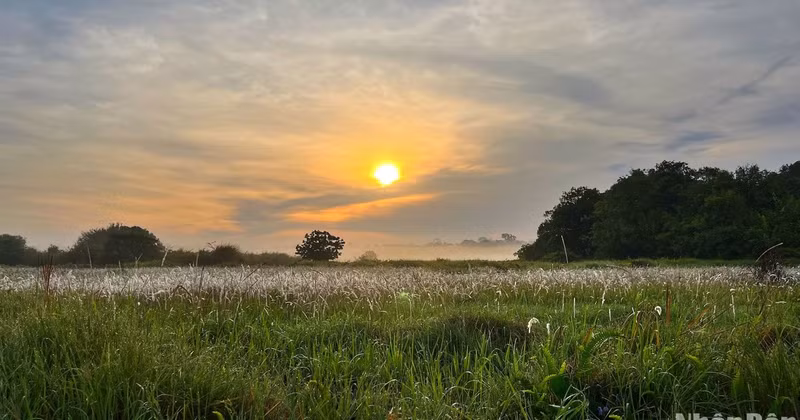 At dawn, Bau Sau bursts with life, filled with vibrant colours and the symphony of countless creatures welcoming the new day.