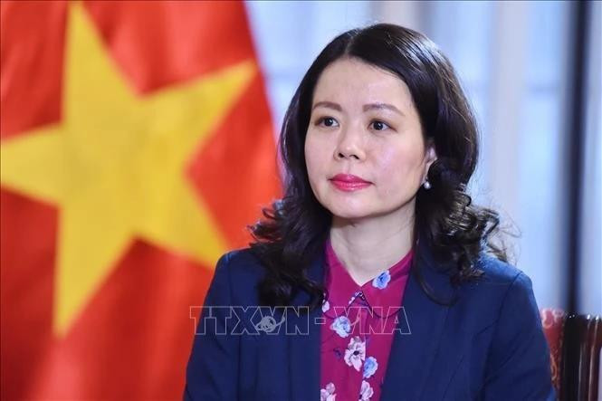 Deputy Minister of Foreign Affairs Nguyen Minh Hang (Photo: VNA) 