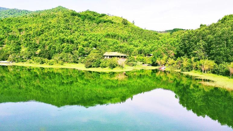 The green space at the Lang Nho – Ho Lang Nhot Tourism Area, one of the pioneers in practicing Net Zero tourism in Vietnam.