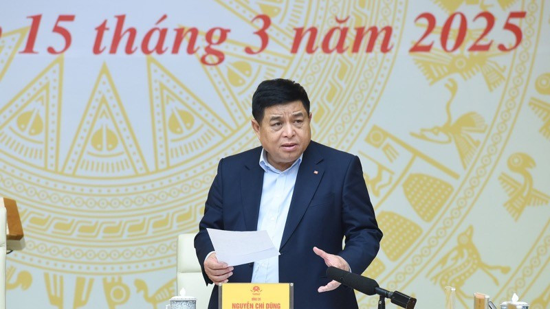 Deputy PM Nguyen Chi Dung speaks at the meeting. (Photo: TRAN HAI)