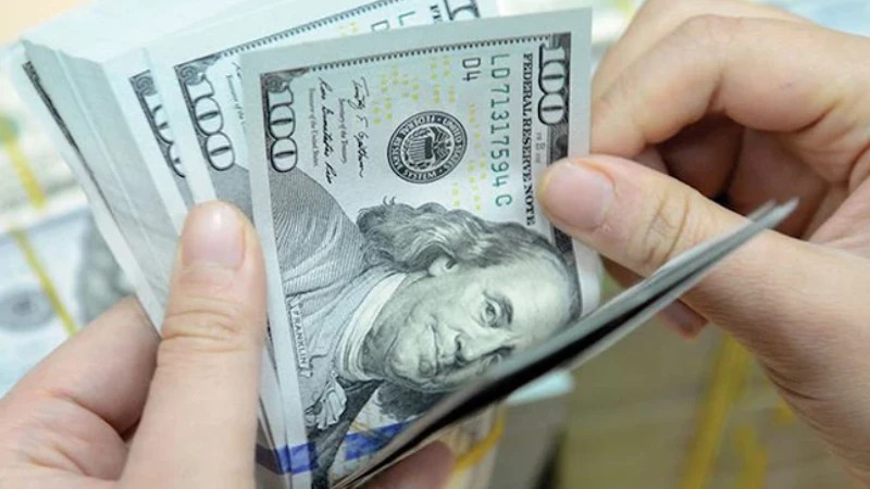 Remittances to Vietnam are considered a "golden resource" for socio-economic development. (File photo)