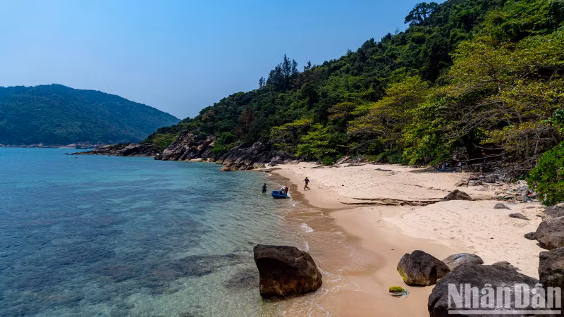 However, since officially coming under the management of Da Nang in September last year, tourism activities have been temporarily suspended, awaiting new directives aimed at developing the island efficiently and sustainably.