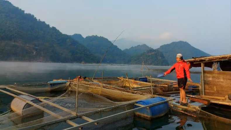 The lakeside residents engage in both agriculture and cage fish farming.