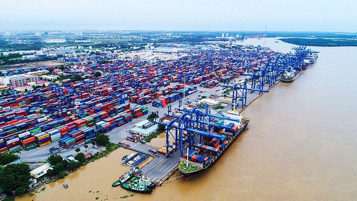 Cat Lai Port accounts for more than 55% of the country's market share in import-export container handling.
