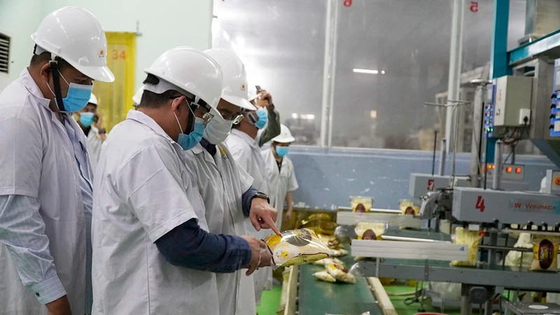 Rice samples are checked for exports at Thoai Son Rice Processing Factory under the Loc Troi Group Joint Stock Company. (Photo: HA AN)