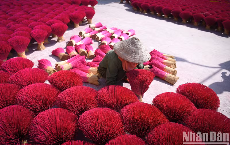 To take satisfactory photos, visitors should choose sunny days to visit the incense village of Quang Phu Cau.