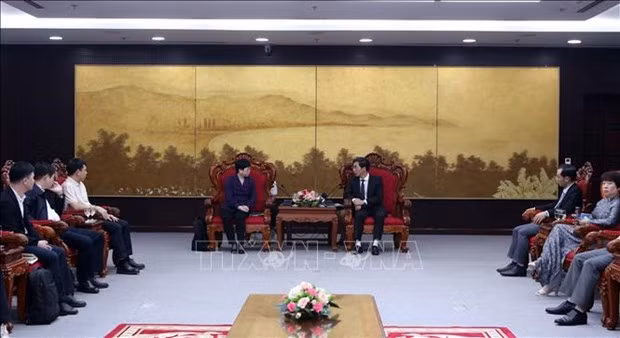 Vice Chairman of Da Nang city People’s Committee Tran Chi Cuong receives a delegation from Guangdong province’s Zhanjang city led by Deputy Mayor He Jiamin. (Photo: VNA)