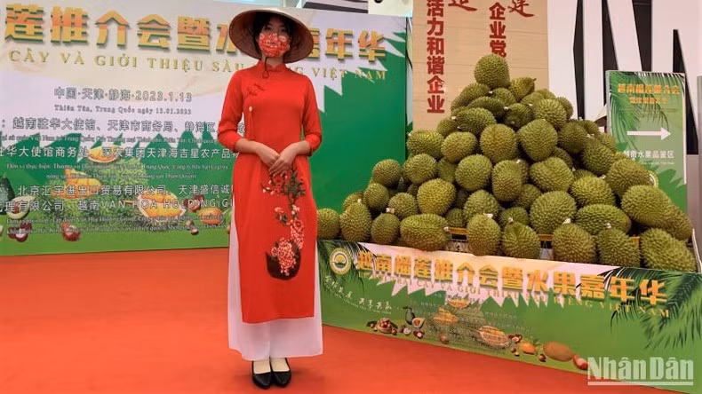 Vietnamese durians are introduced at the festival. (Photo: NDO)