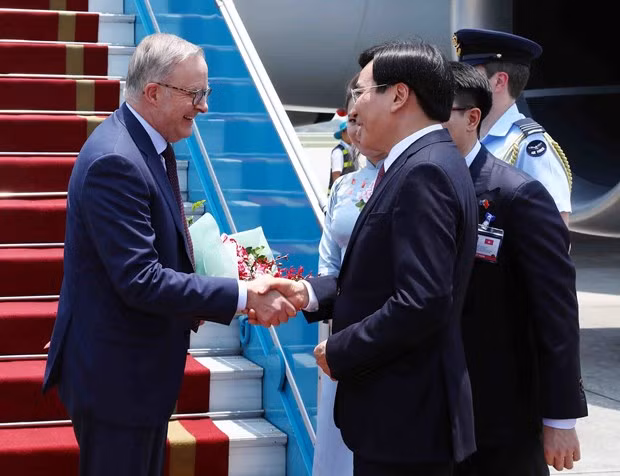 Australian Prime Minister Anthony Albanese (left) is welcomed at the Noi Bai International Airport by Minister – Chairman of the Vietnamese Government Office Tran Van Son. (Photo: VNA) 